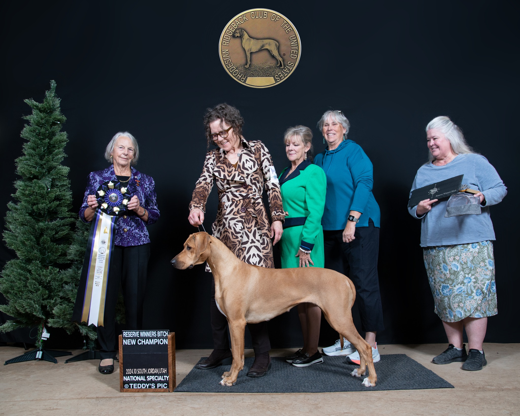 Of Course Rhodesian Ridgebacks | Vancouver BC
