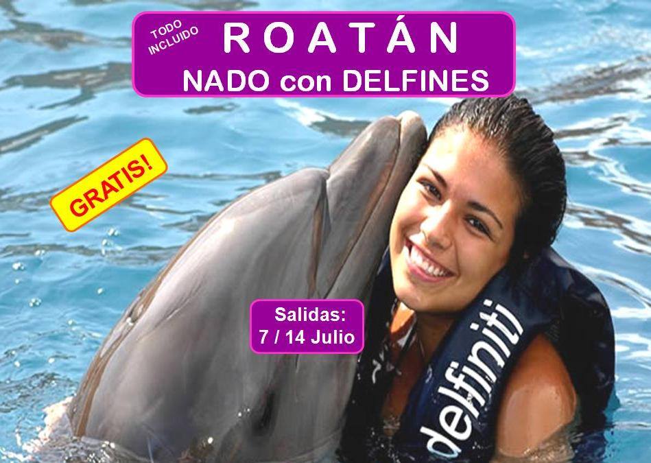 Exotic Tours - Vive una EXPERIENCIA CON DELFINES inolvidable ...