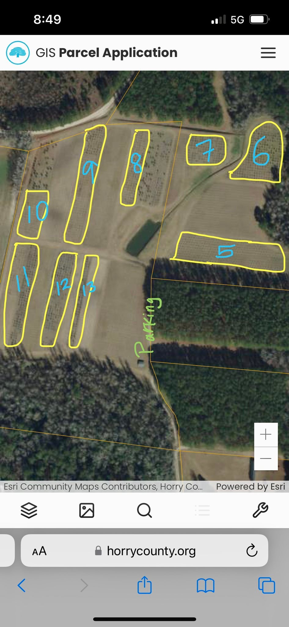 Booth's Christmas Tree Farm | Conway SC