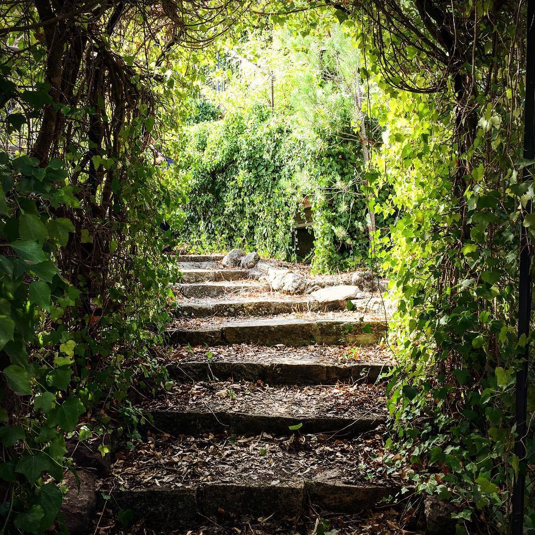 Un rincón secreto. Una bella imagen... - Casa Lucio Muñoz