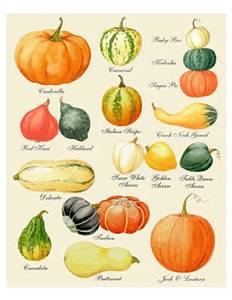 Sandy Ridge Farm Market | Doylestown PA