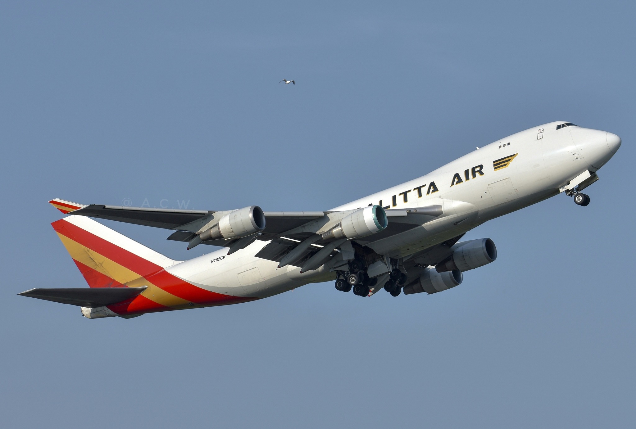 Modellino GeminiJets 1/400 Kalitta Boeing 777-300ERF N779CK – GJCKS2301