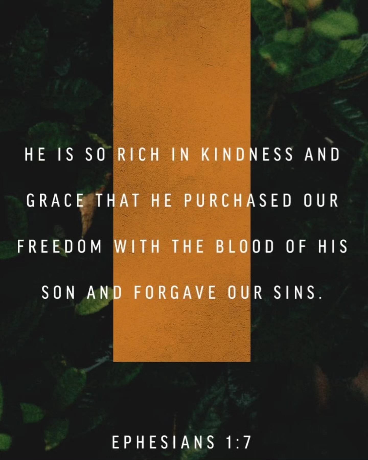 The Positive - What if forgiveness is not something you earn, but a ...