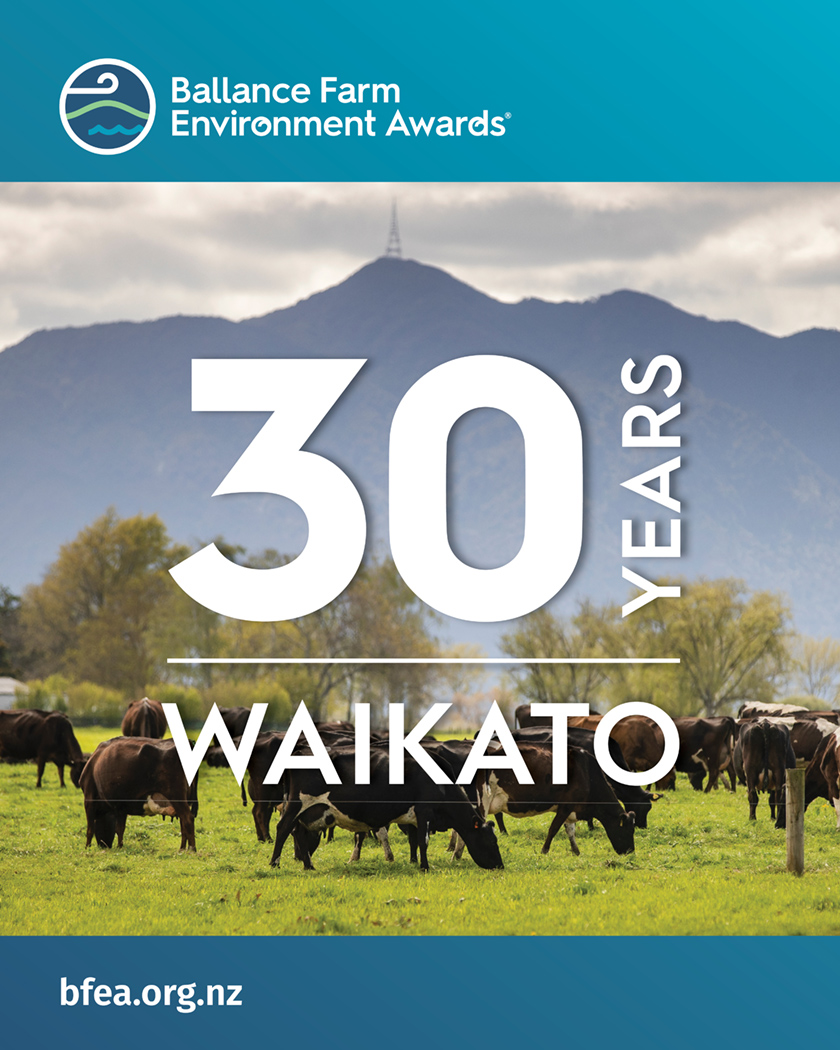 Ballance - This year, we're excited to be celebrating 30 years since ...