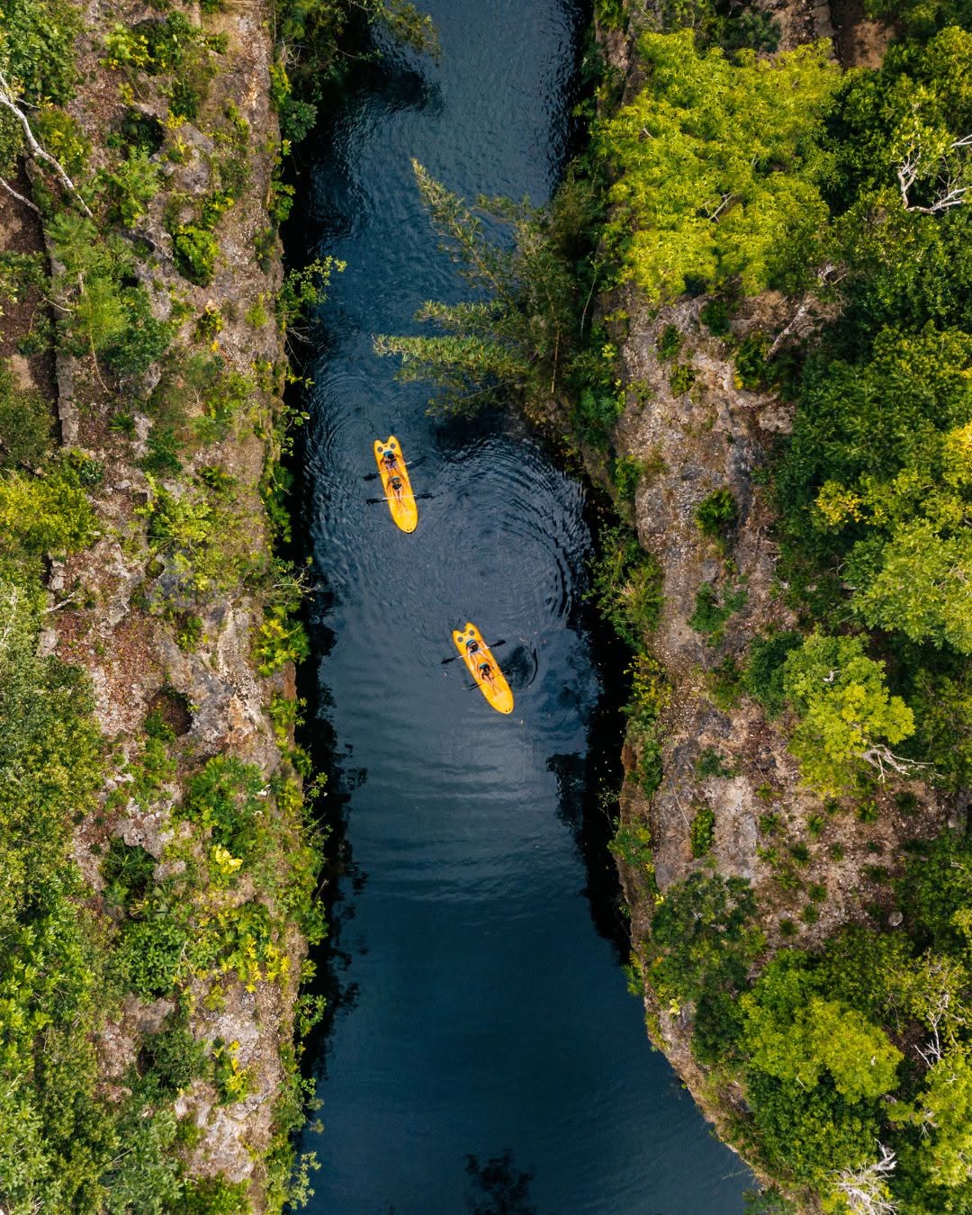 Xenotes | Cancún