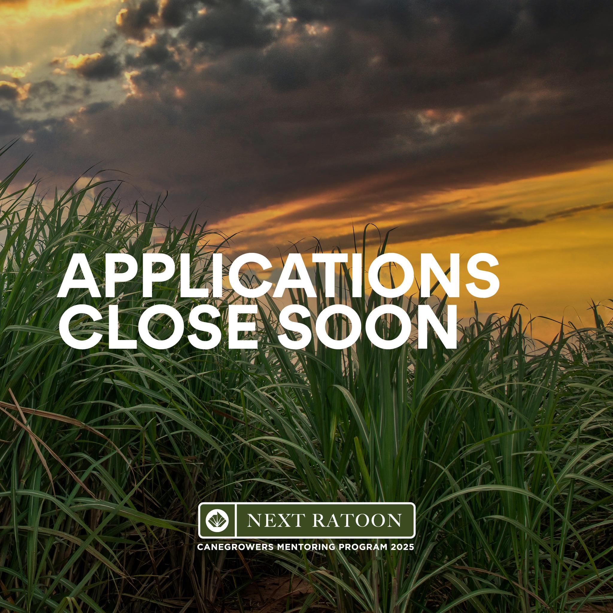CANEGROWERS - ‼️ Applications closing soon ‼️ Applications for mentee ...