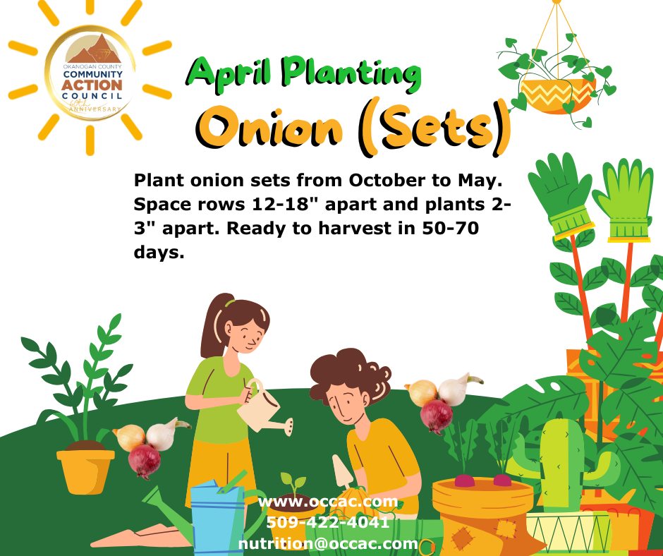 Okanogan - 🌱 Vegetable Planting Tip for Okanogan County Gardeners 🌱 ...