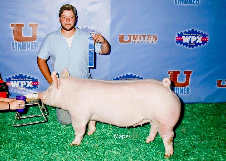 Show-Rite - Congratulations to these Show-Rite Feed...
