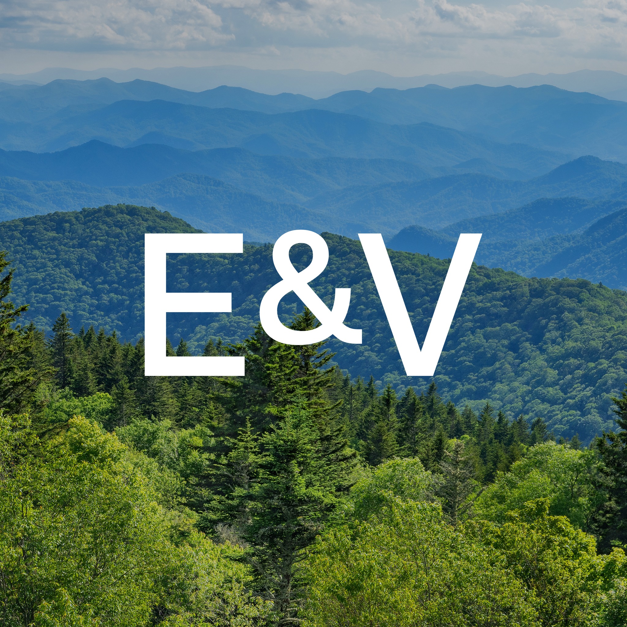 Today’s CE class... - Engel & Völkers North Georgia Mountains | Facebook