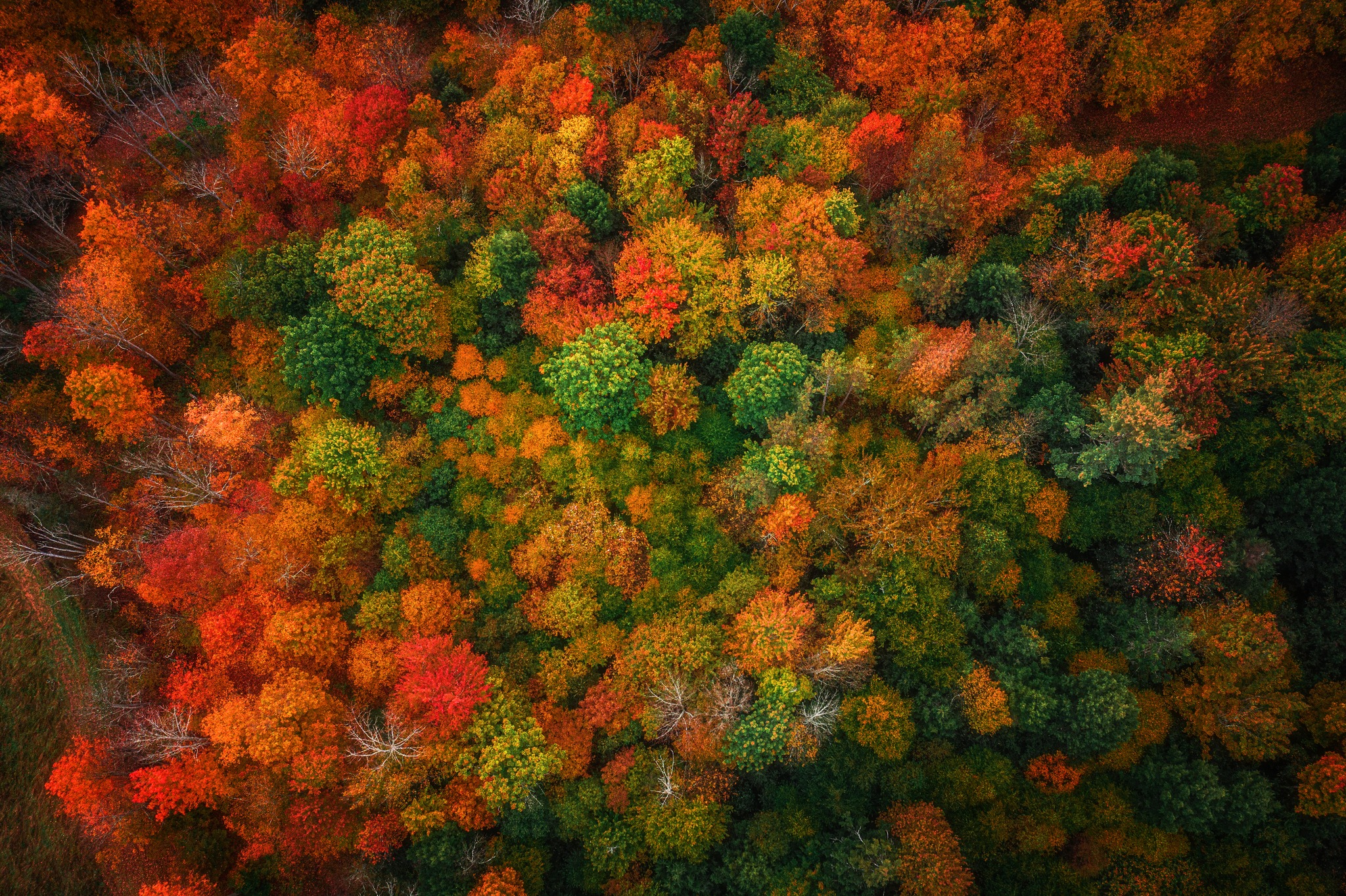 Dan Simonds Photography