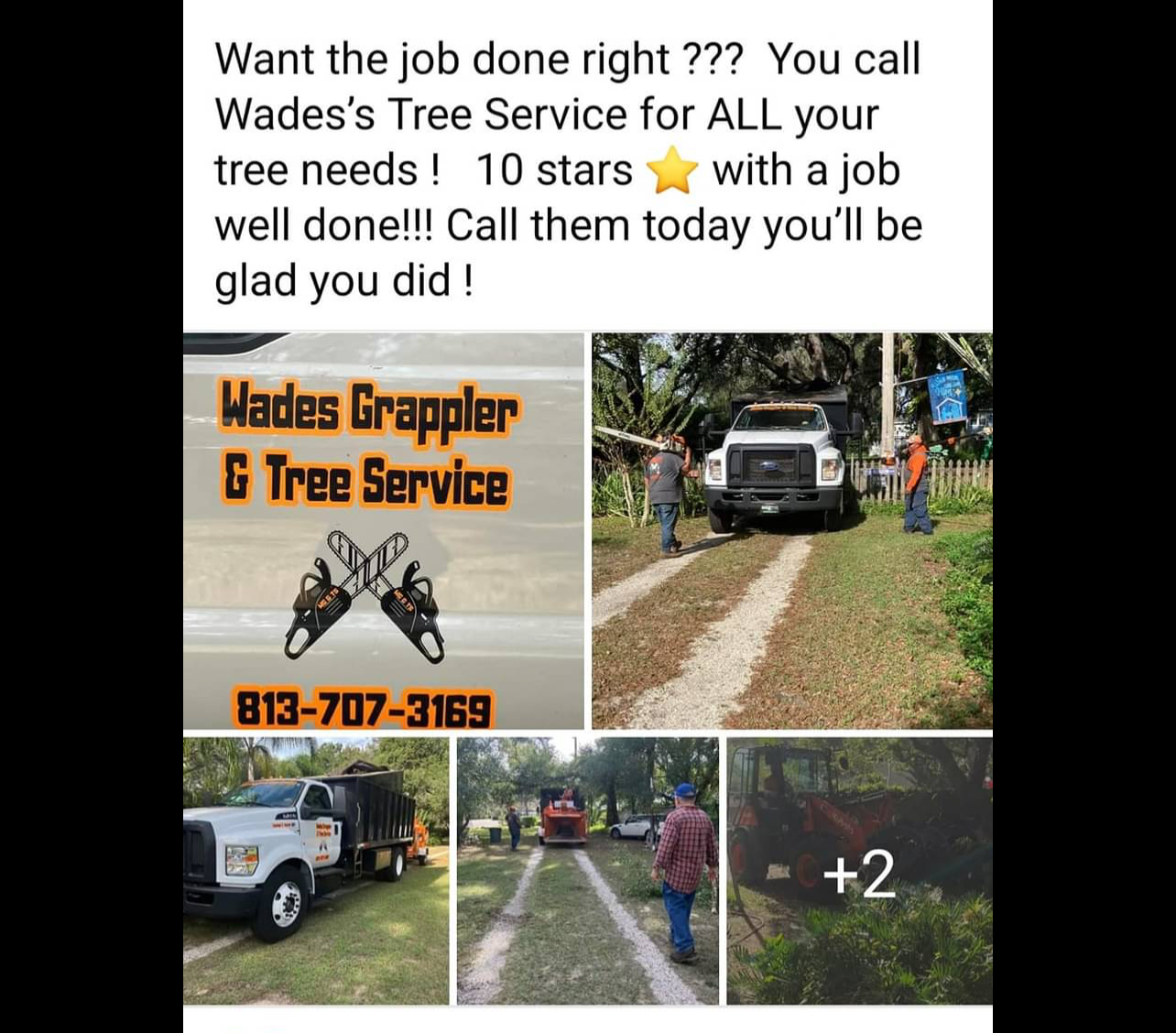 Wade’s tree service | Plant City FL