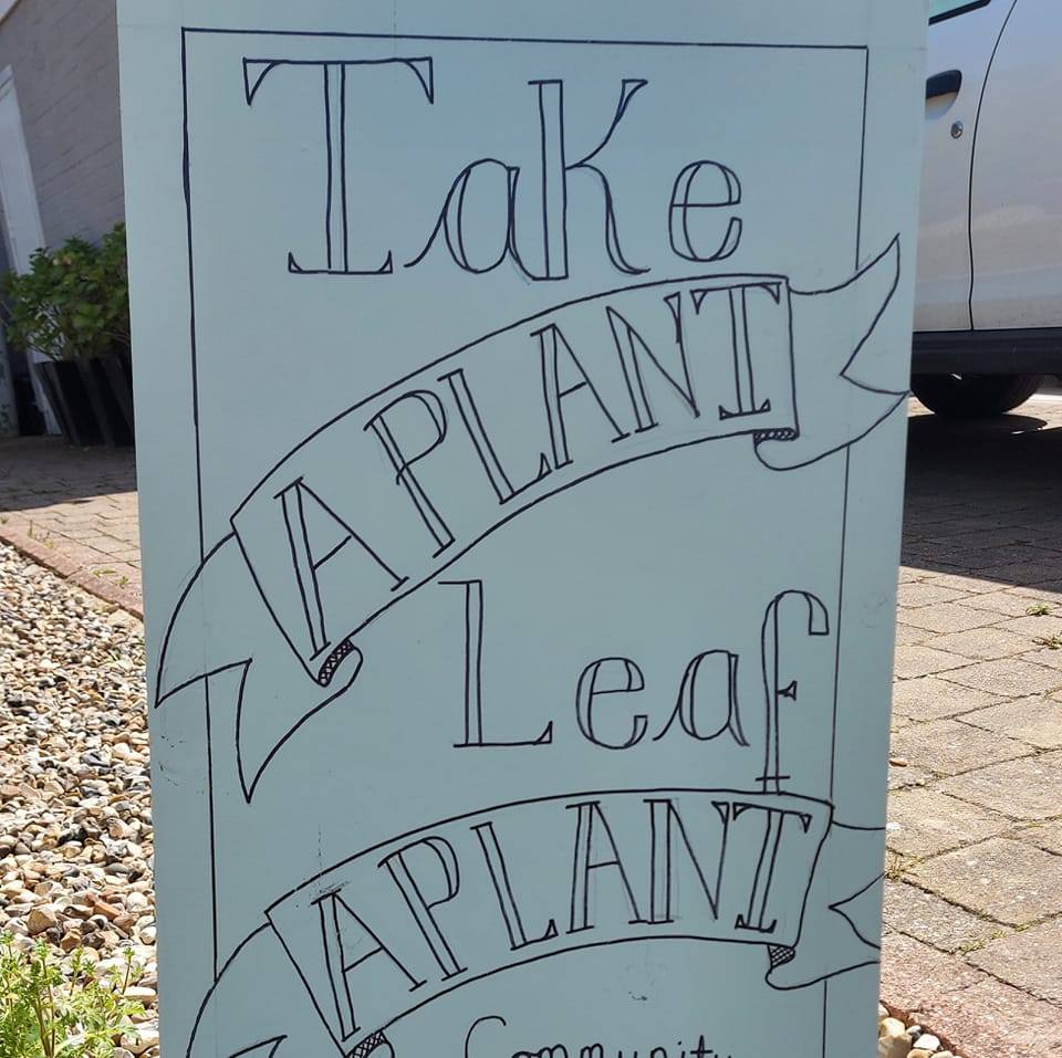Happy Sunday all! It's... - The Faversham Plant Exchange | Facebook