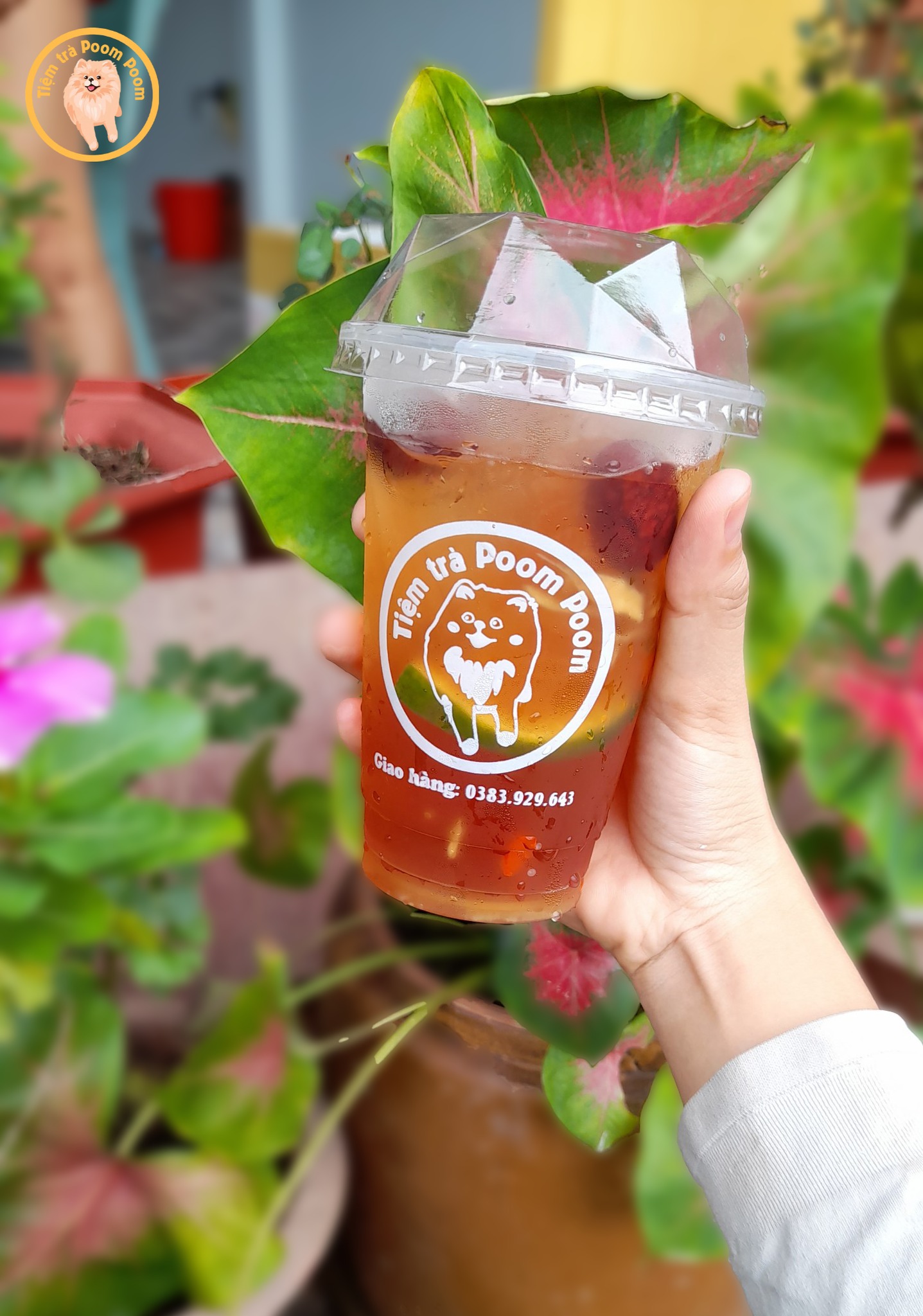 Tiệm trà Poom Poom | Thu Dau Mot