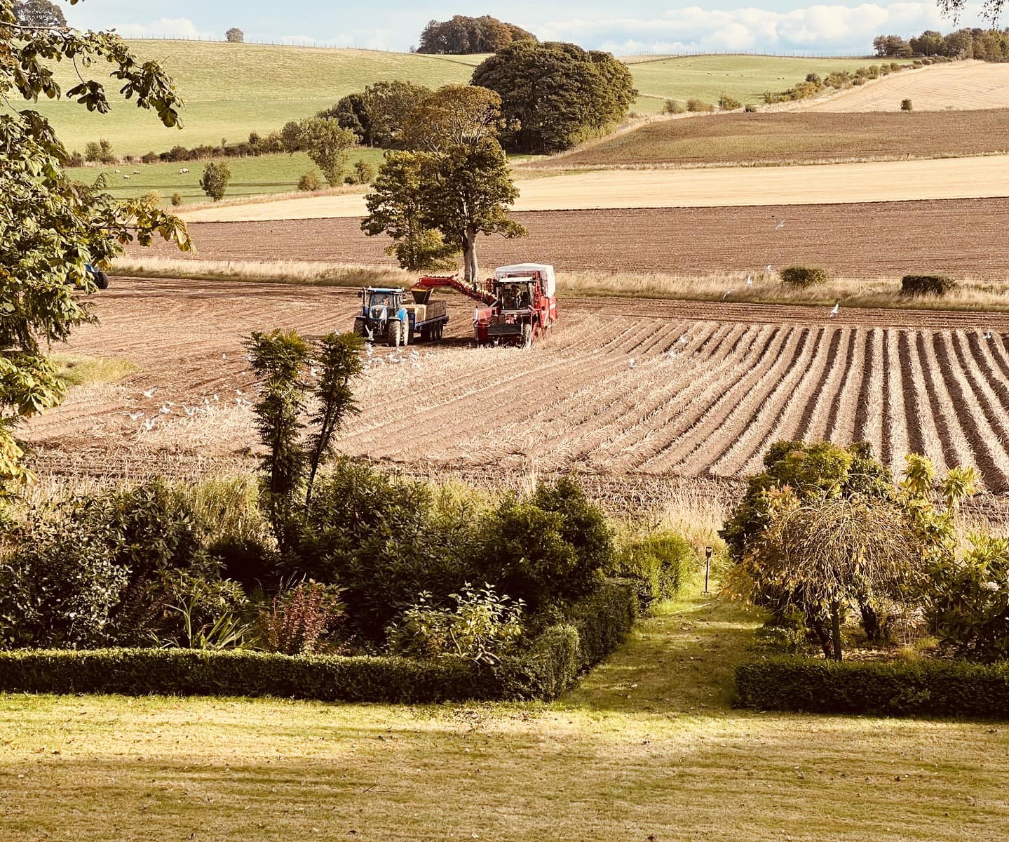 Bryden Potatoes | Inchture