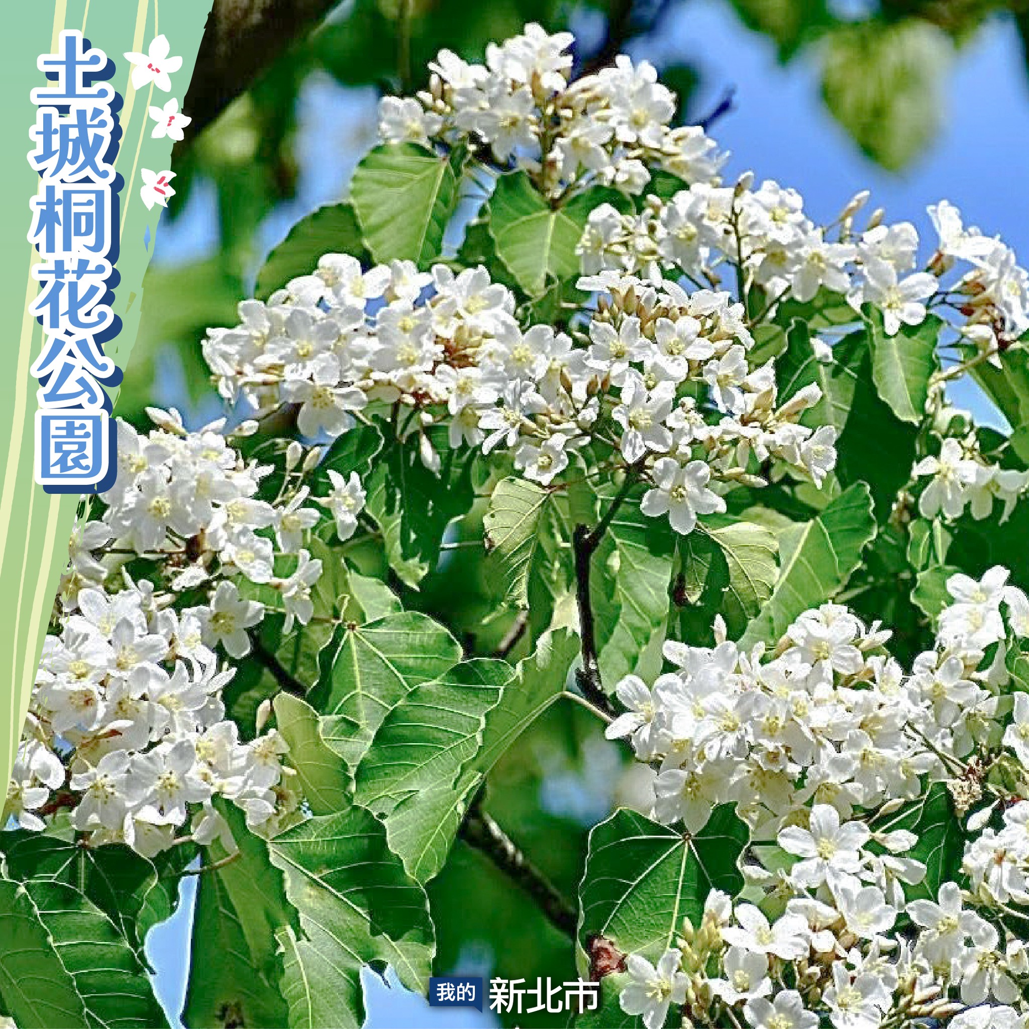 我的新北市 - 我的新北市 added a new photo.