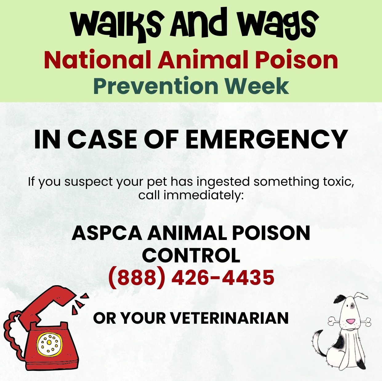 Walks - 🚨SAVE THIS POST - it could save your pet's life! ️ Warning ...