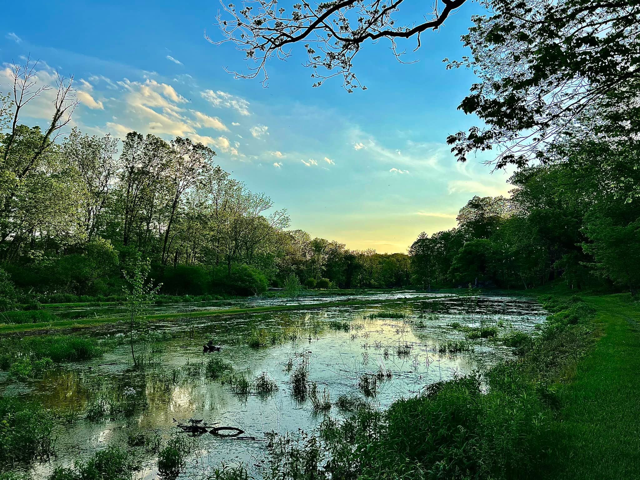 Letort Preserve | Carlisle PA