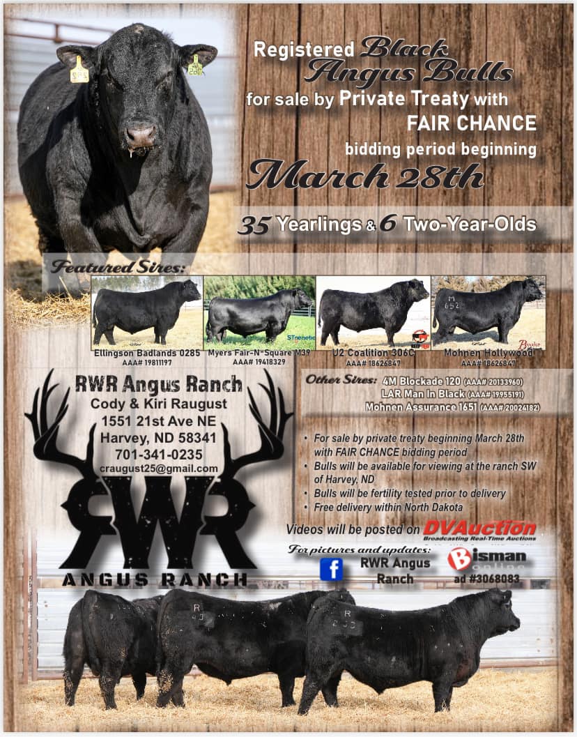 RWR Angus Ranch | Harvey ND