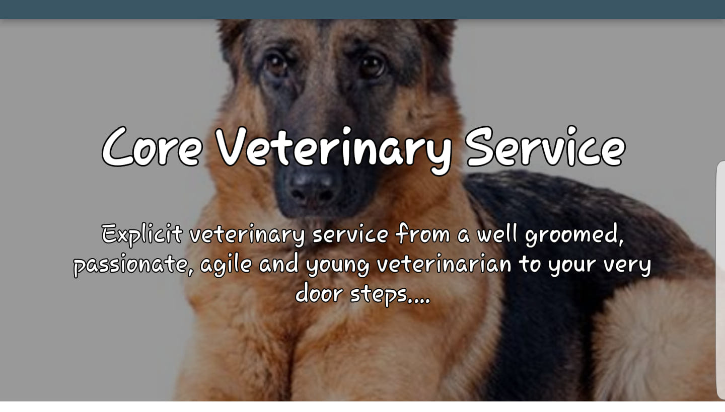 Core Veterinary Service | Kumasi