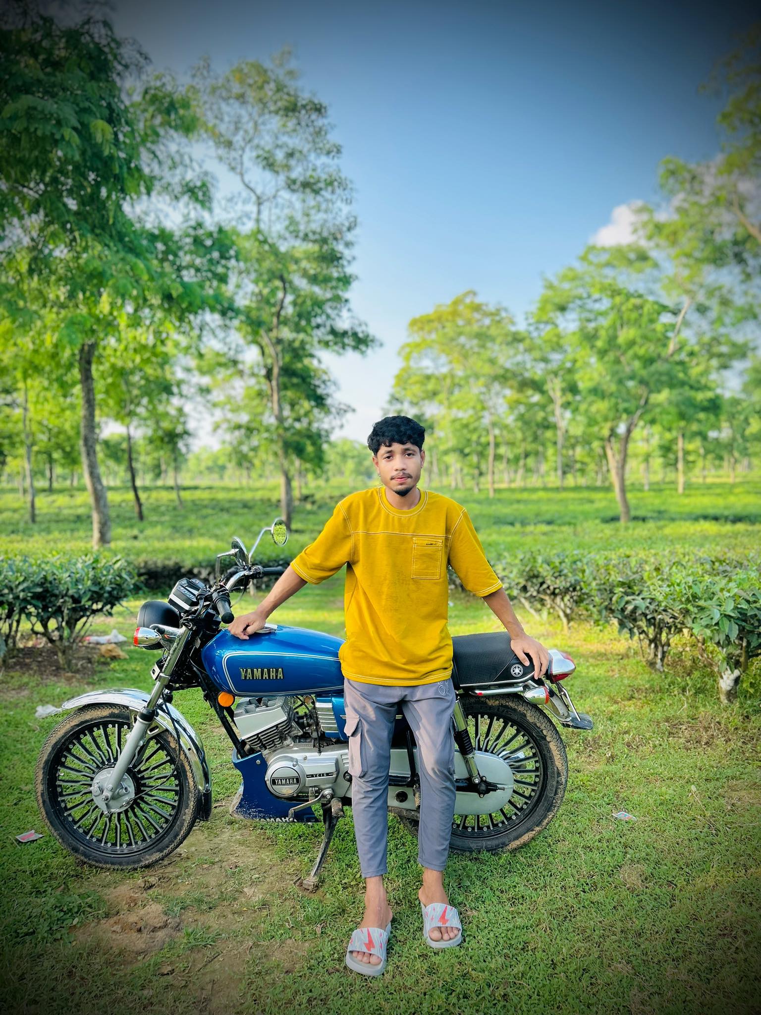 M H Mosayed