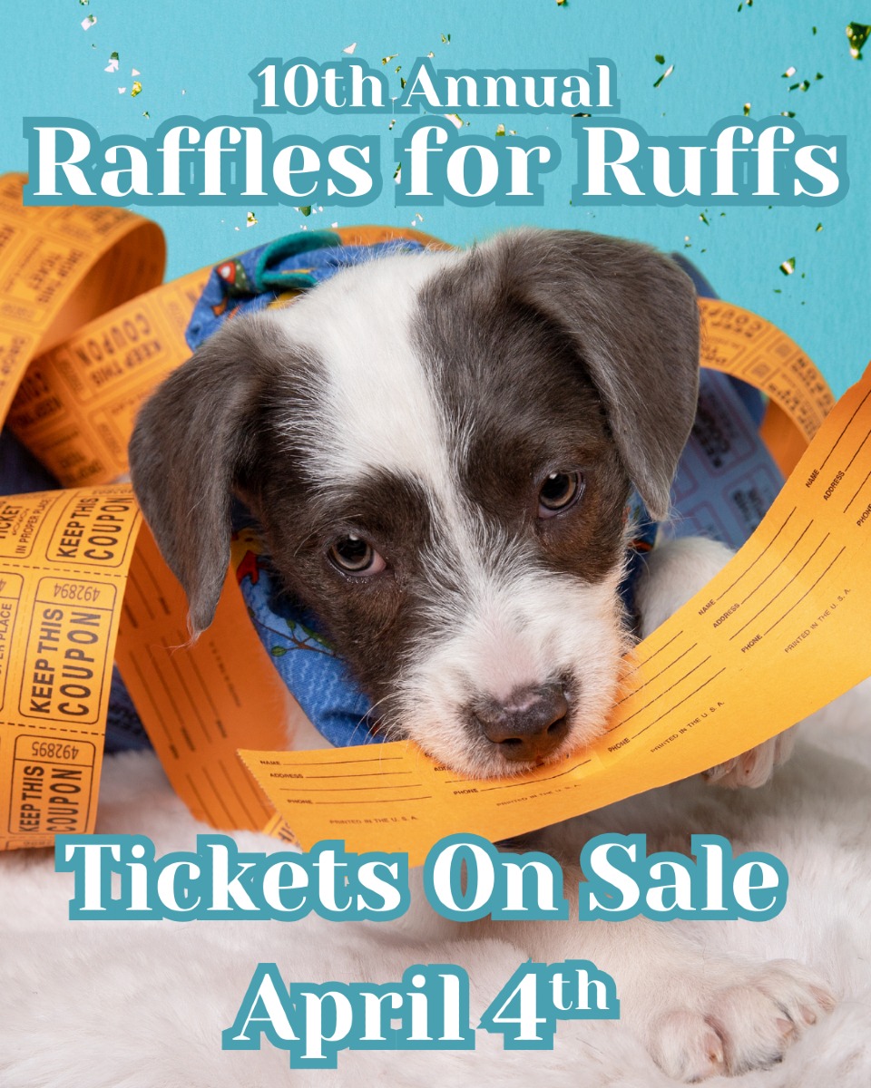 To - 🎉 ONE. WEEK. AWAY! 🎉 The 10th Annual Raffles for Ruffs ticket ...