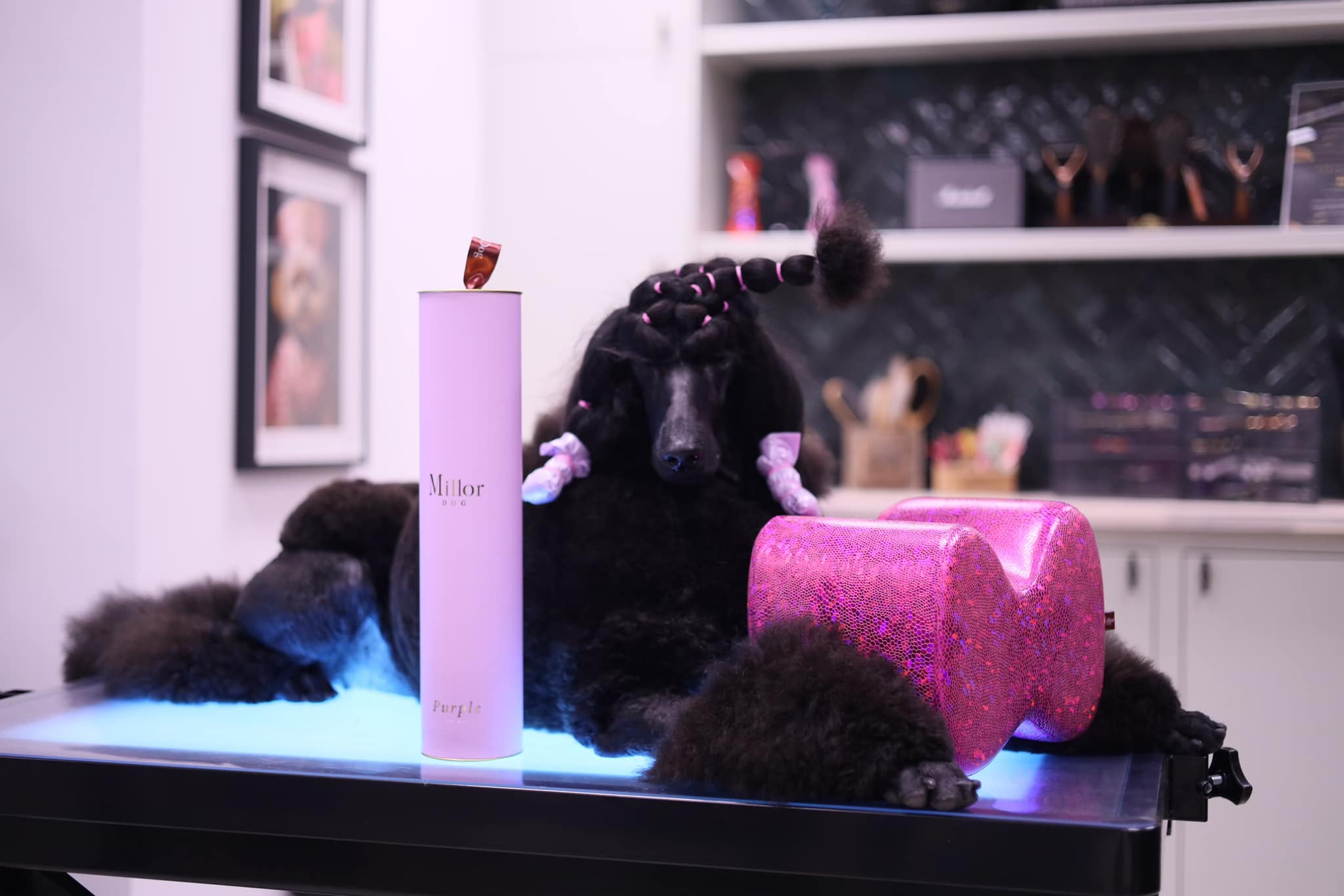 Huffish Grooming - Några veckor kvar till Jul! Badkampanj fram till den ...