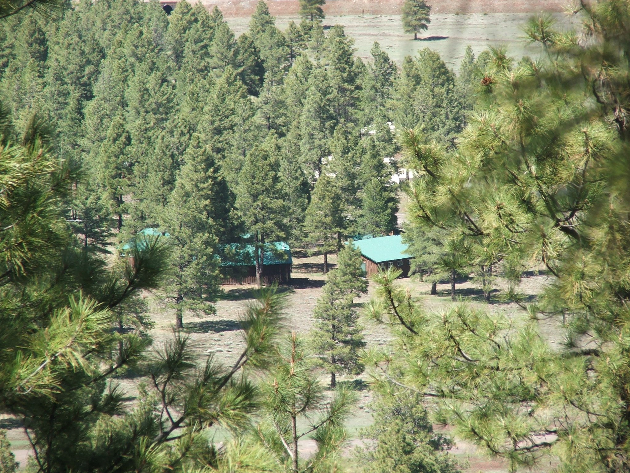 West Branch of the Bill Rice Ranch | Williams AZ