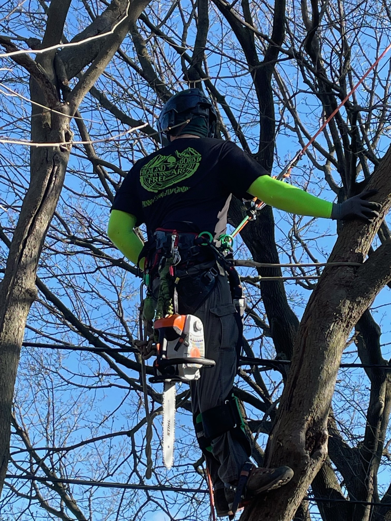 Highland Arborist Tree Care | Lancaster PA