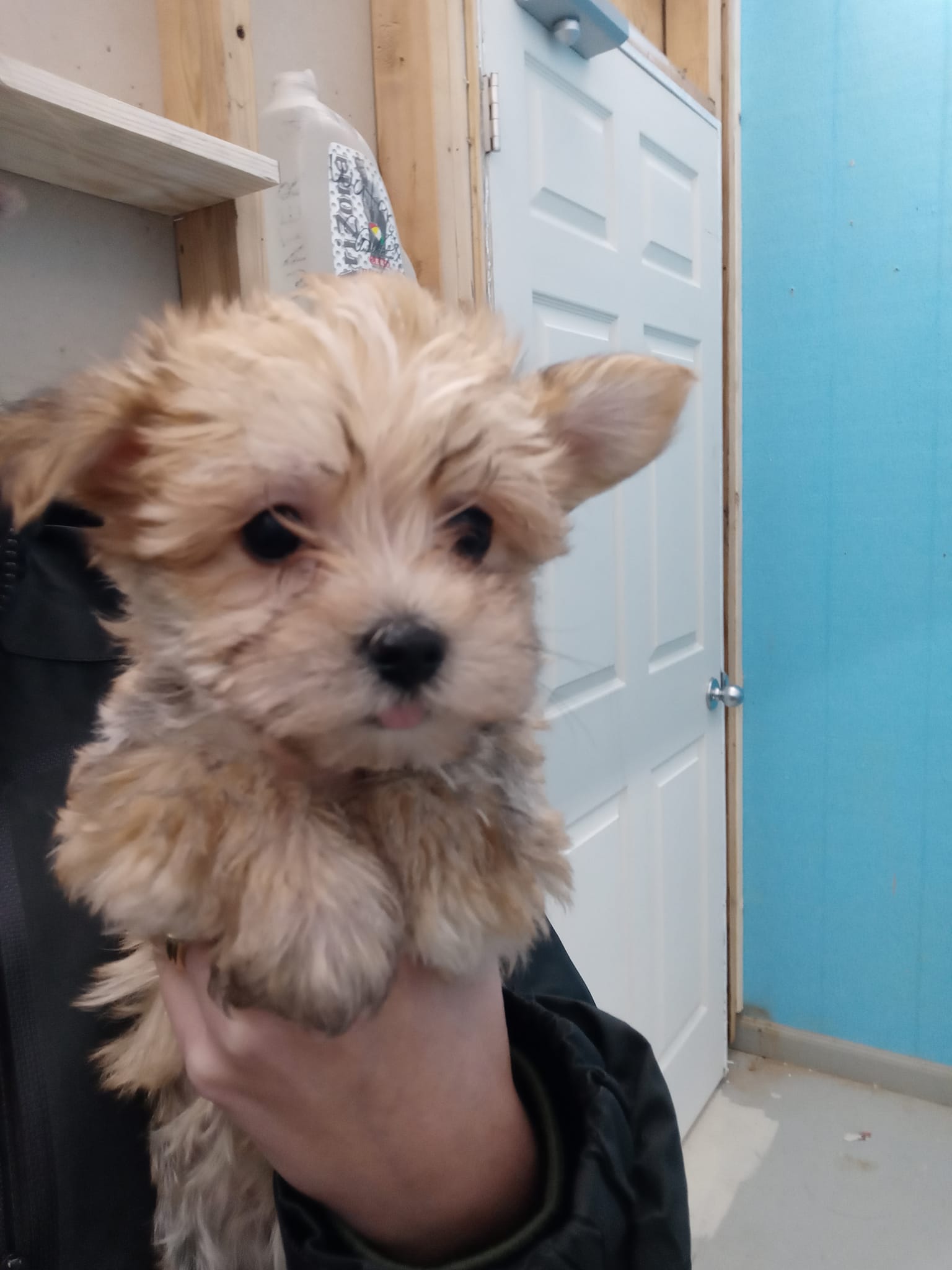 J & M Pet Land | Clarksville TN
