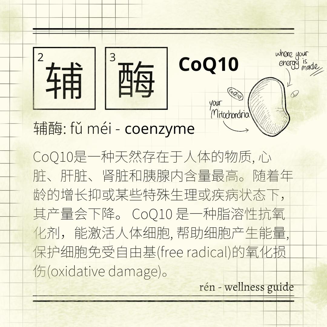 周末愉快 小编今天想跟大家分享coq10 那就是辅酶 Ren Wellness Guide Facebook