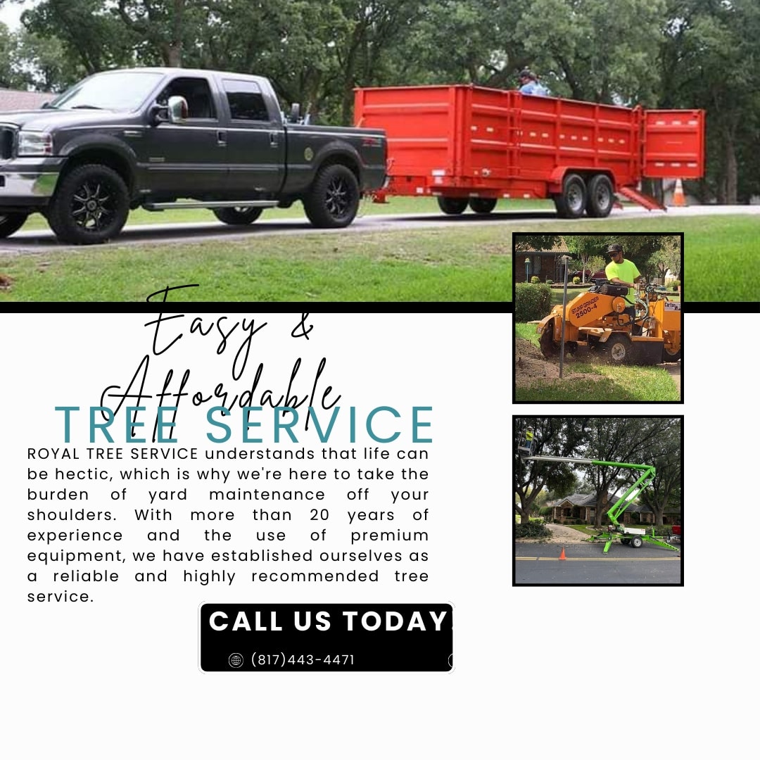Royal Tree Service and Landscaping | Fort Worth TX