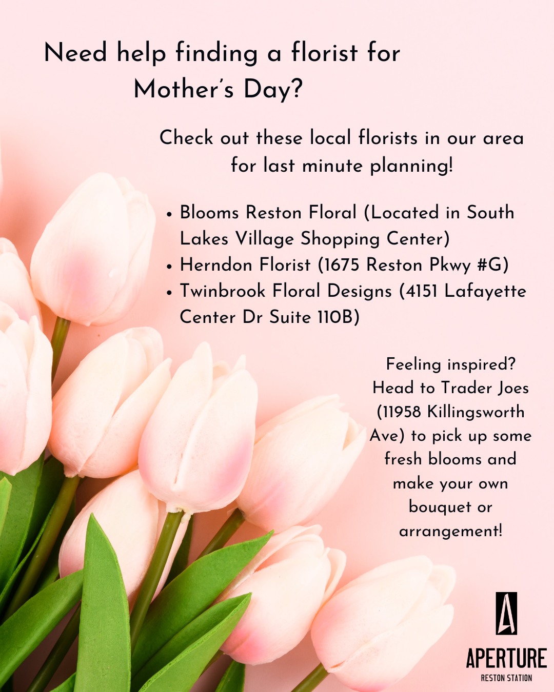 Aperture - 🚨 PSA: Mother’s Day is not a drill. 🚨 Yes, it’s coming. Yes ...