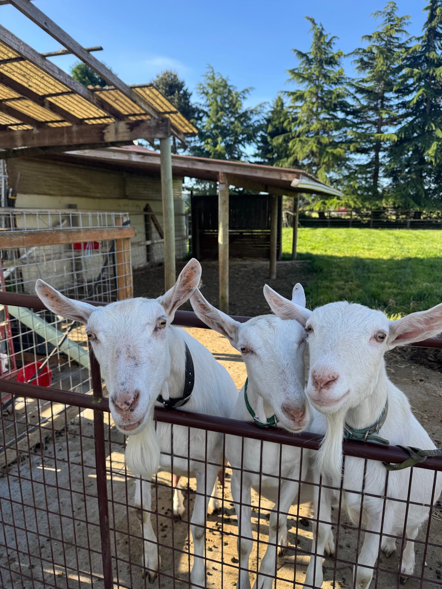 Gardenhome farm