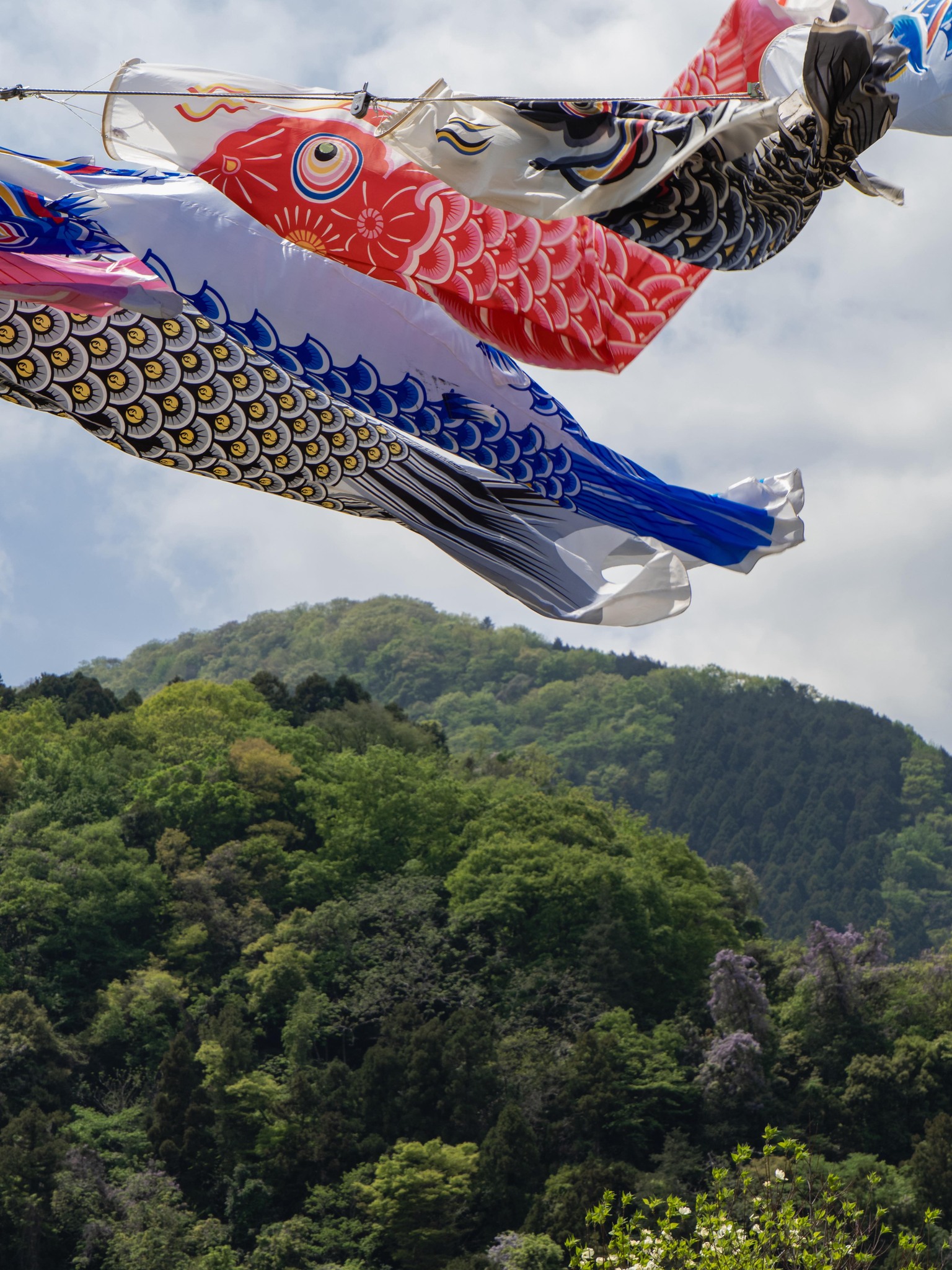 全国に誇れるkiyoki（清き・潔き）清川村を創る会... - 全国に誇れるkiyoki（清き・潔き）清川村を創る会