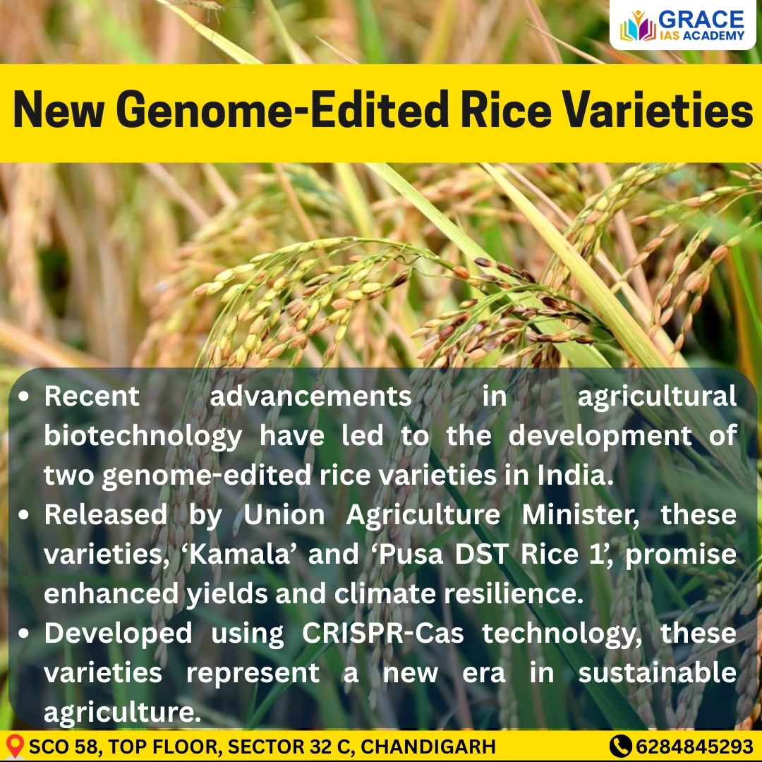 Grace - 🌾 India’s Agricultural Breakthrough with Genome-Edited Rice ...