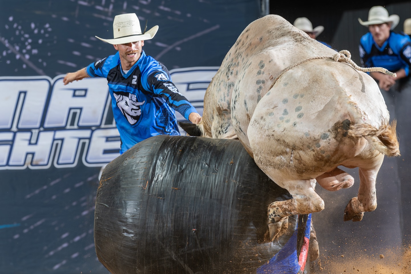 Ultimate Bullfighters added a new... - Ultimate Bullfighters