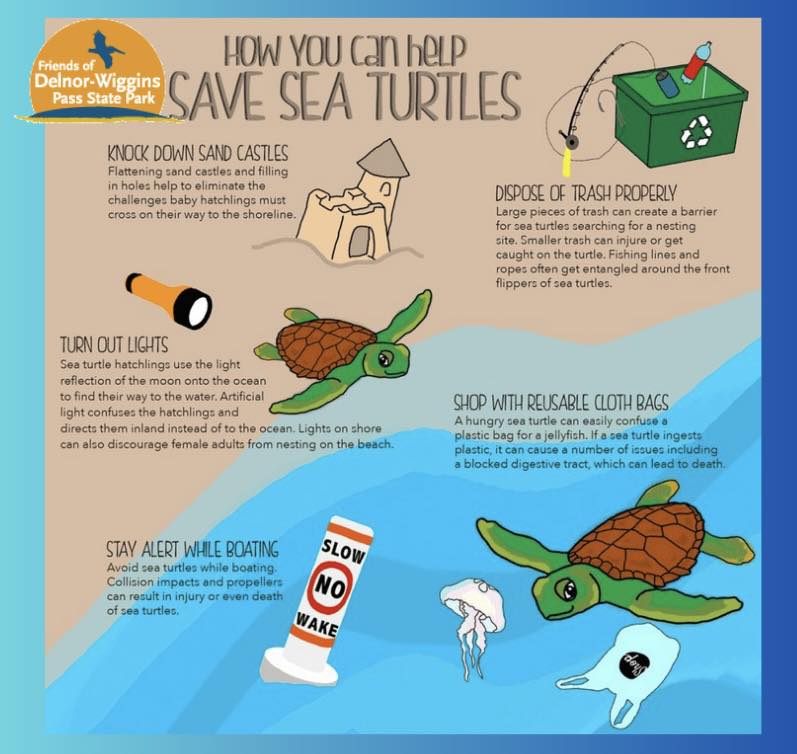 Friends - Welcome May. The official start date for sea turtle nesting ...