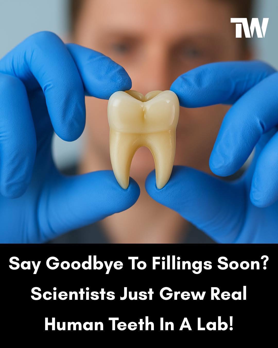 Techworm - Say Goodbye to Fillings—Hello to Regrown Teeth! In a major ...