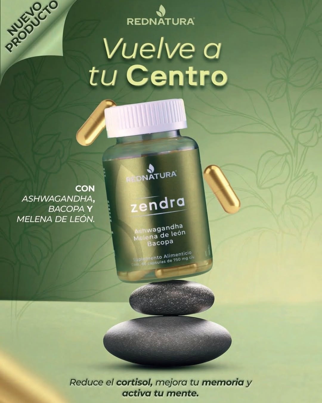 SALUD - 🌿DILE ADIOS AL CORTISOL🙏 es una hormona producida por las ...