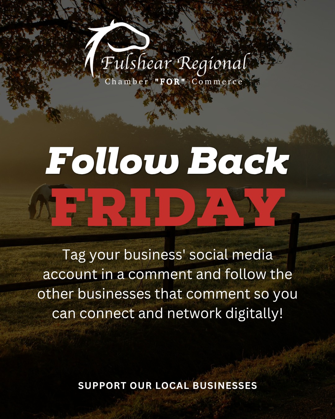 Fulshear - 👋 It’s #FollowBackFriday! Let’s grow together, support local ...