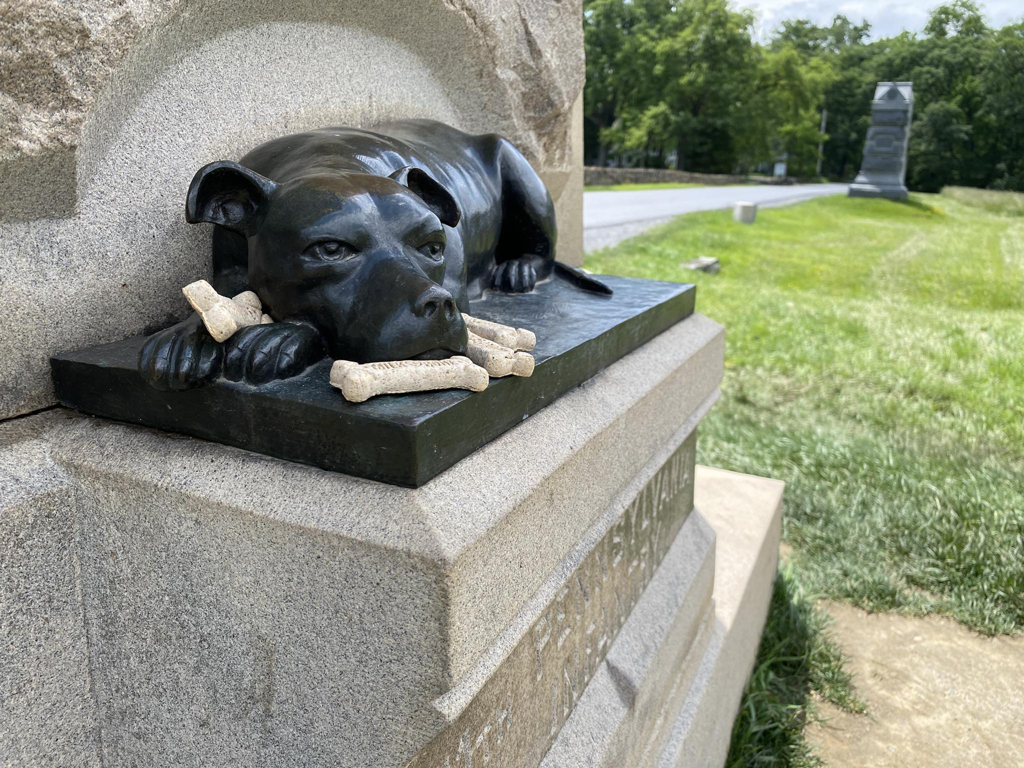 Civil - A VETERAN IN HER OWN RIGHT — Had to visit Sallie again… resting ...