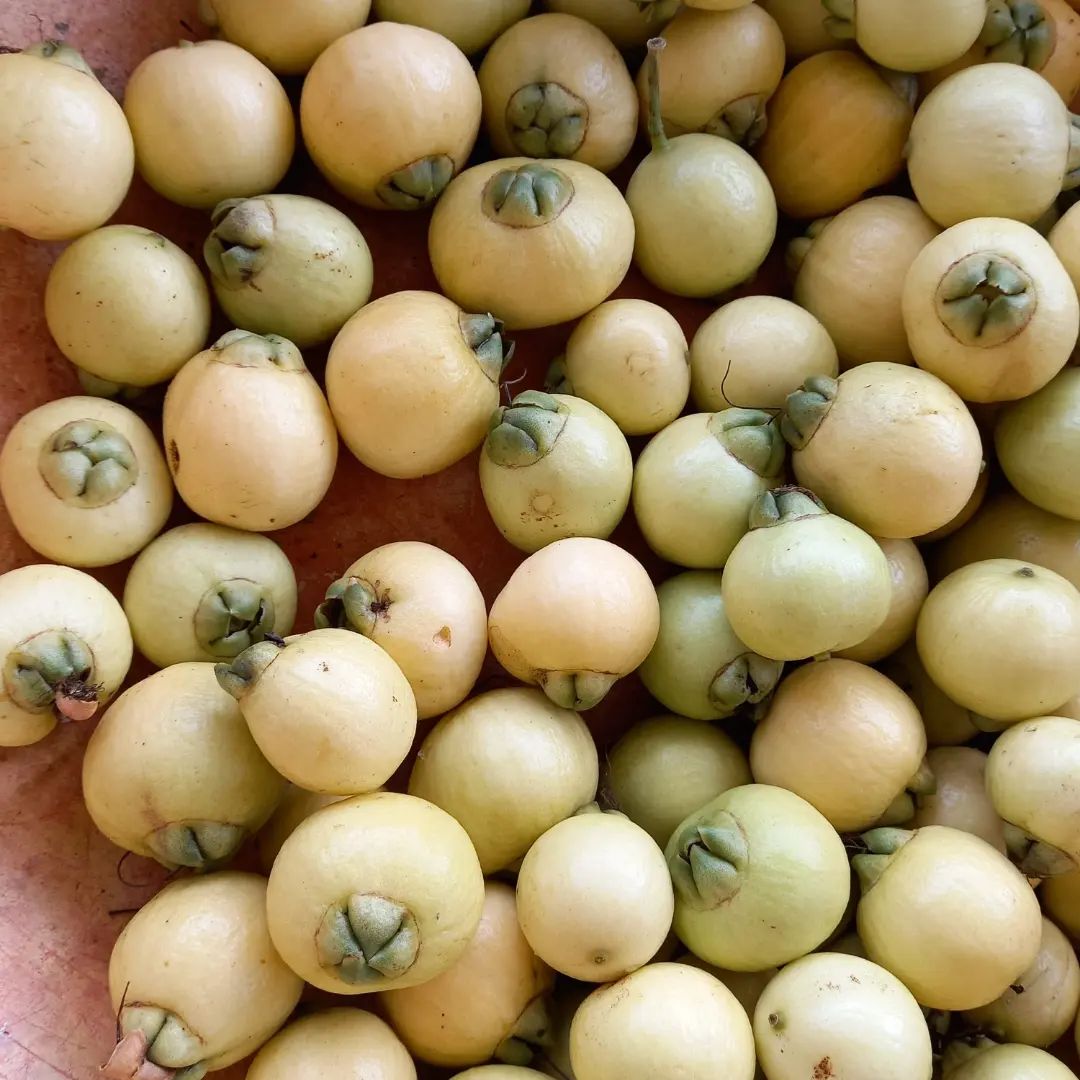 Lakkur Farms