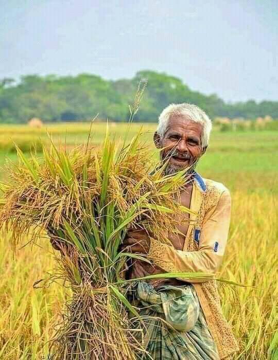 Sagor Ahmed Robi