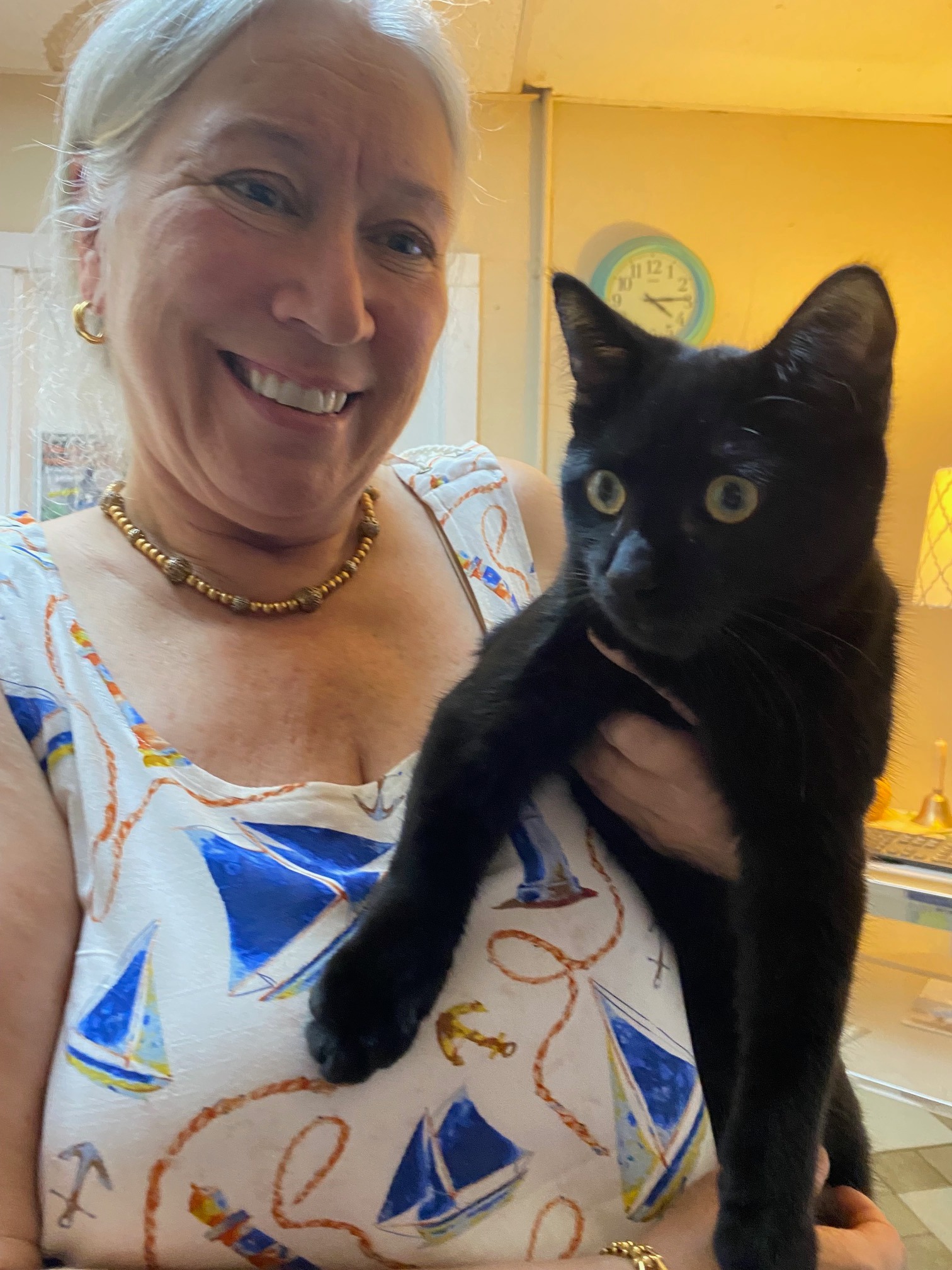 This week's sneak peek... - Kind Keeper No-Kill Animal Rescue | Facebook