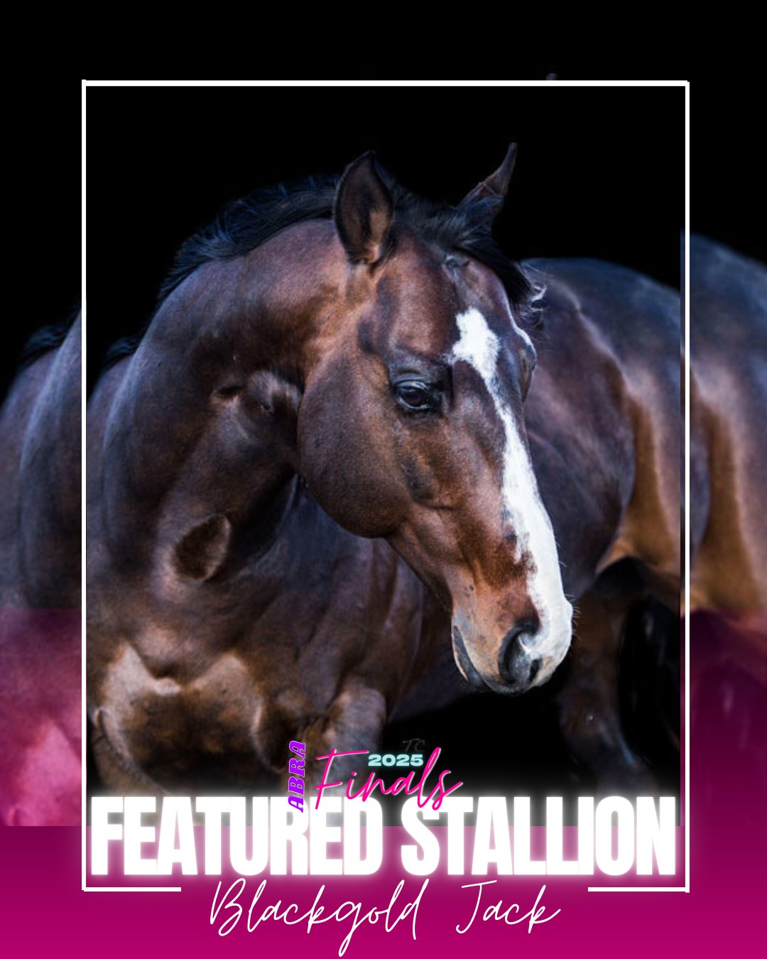 ABRA - Alberta Barrel Racing Association