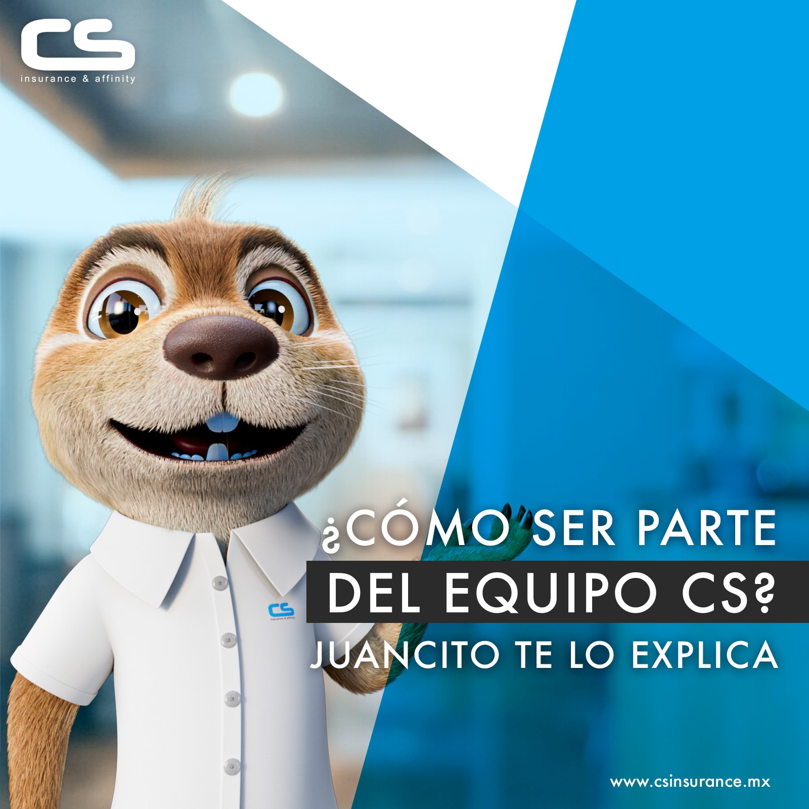 Certus Agente de Seguros y de Fianzas | Hermosillo