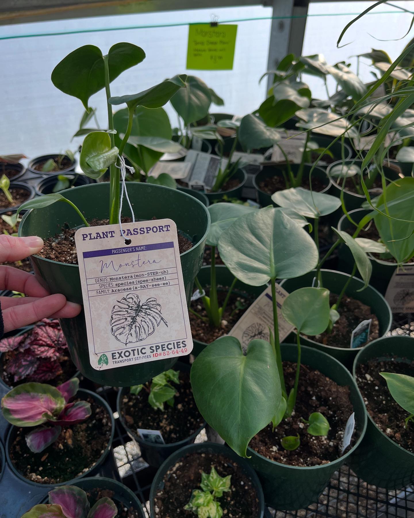 Cherry Ridge Greenhouse added a... - Cherry Ridge Greenhouse