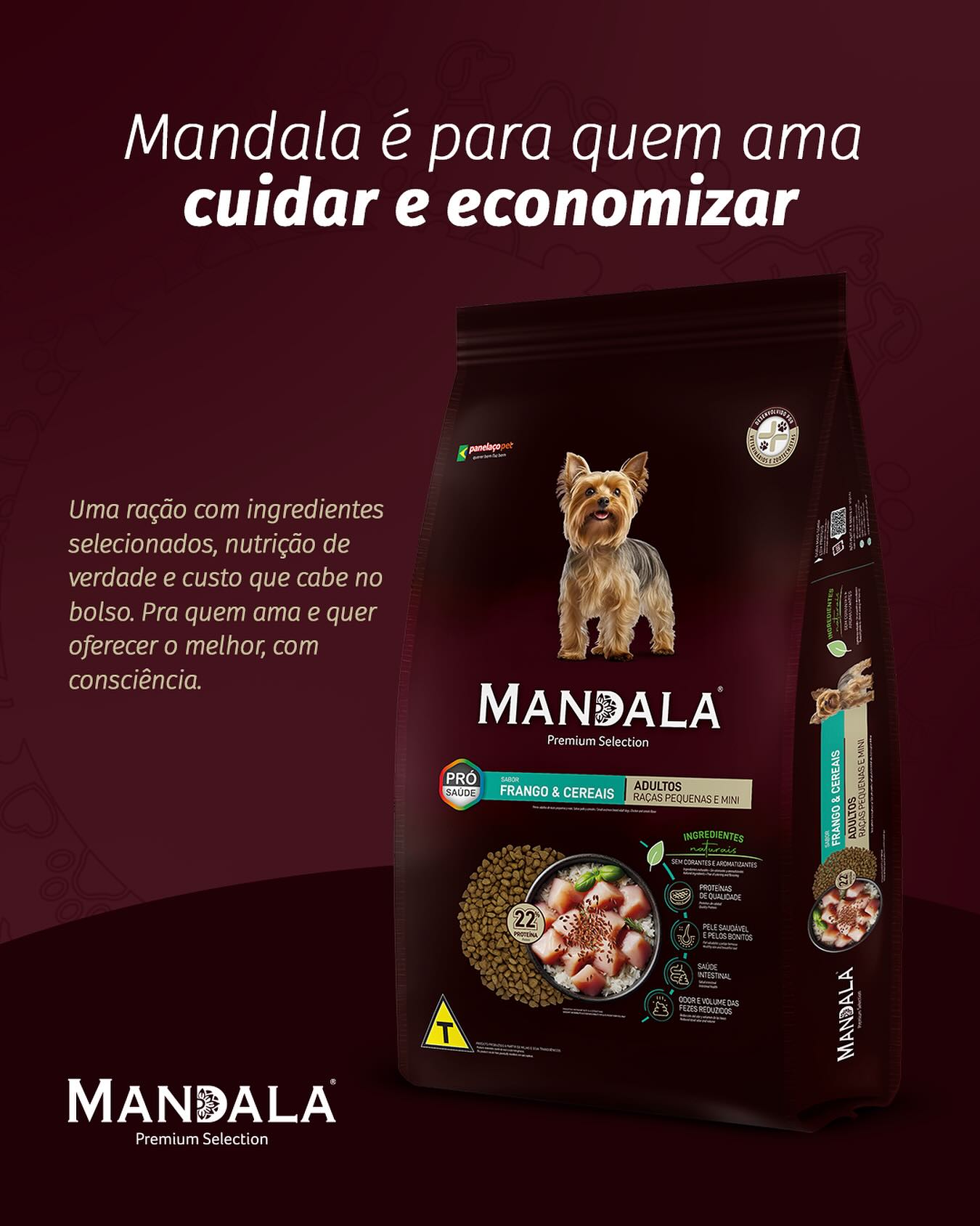 Mandala Pet