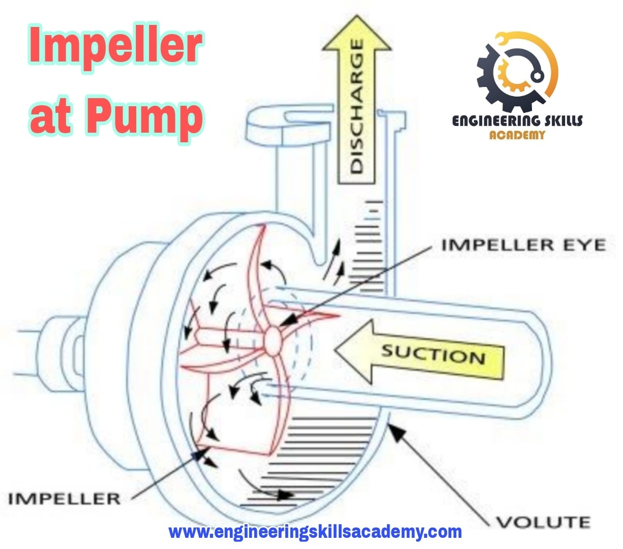 💥( Open Impeller&Closed Impeller&... - Engineering Skills | Facebook