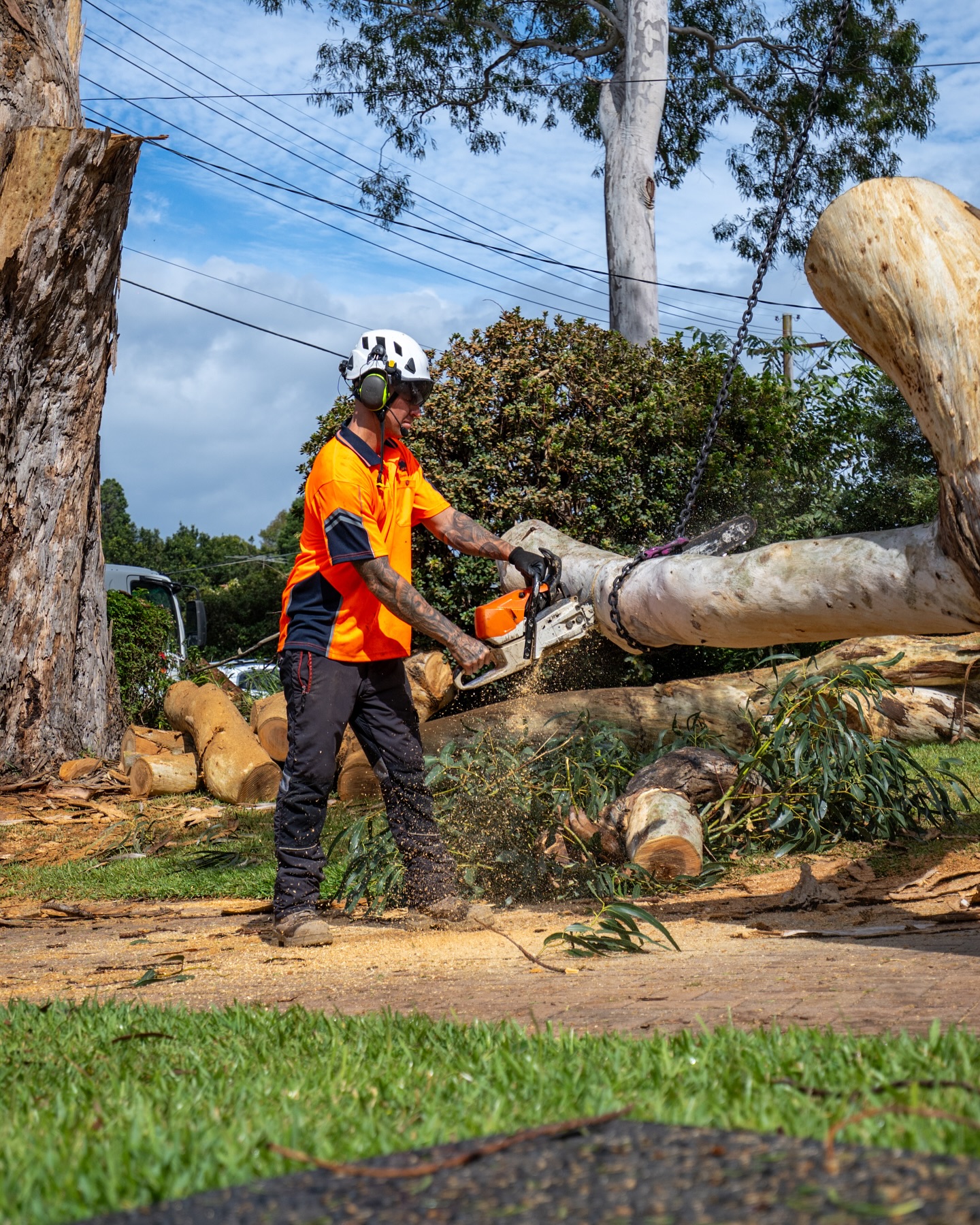 Rennie Bros Tree Services | Sydney NSW